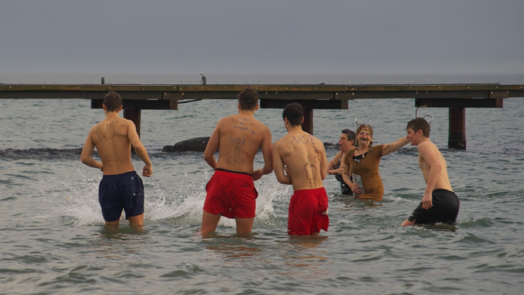 Anbaden auf Fehmarn